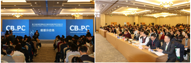 1575254428857775.png 5.png