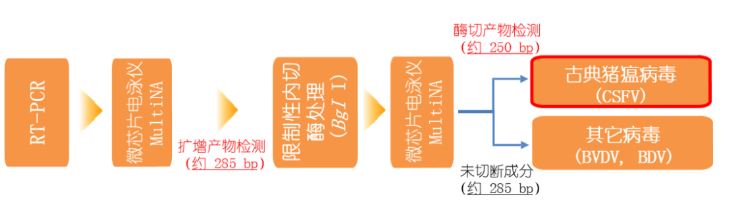 1583807759624762.jpg 10-2.JPG