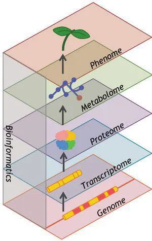 1584323010865124.jpg 0316-1.jpg