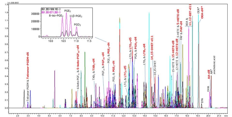 1584410529766134.jpg 17-2.jpg