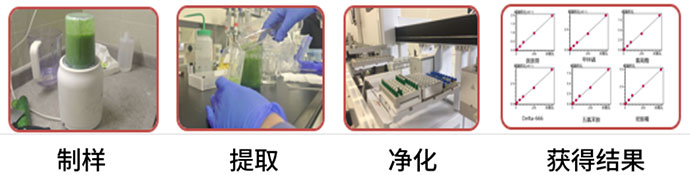 1586743842107071.jpg 13-4.jpg