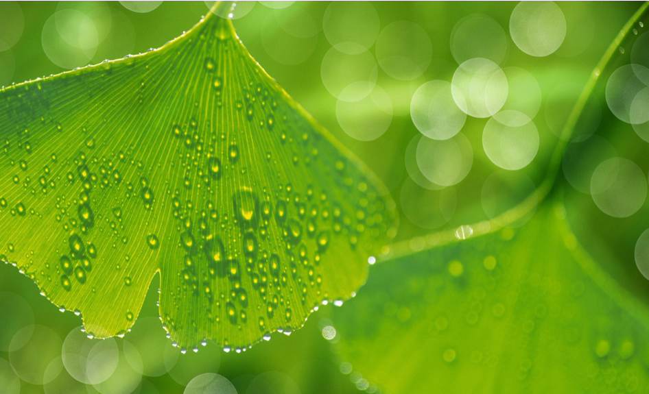 1587086519334410.png 16-1.png