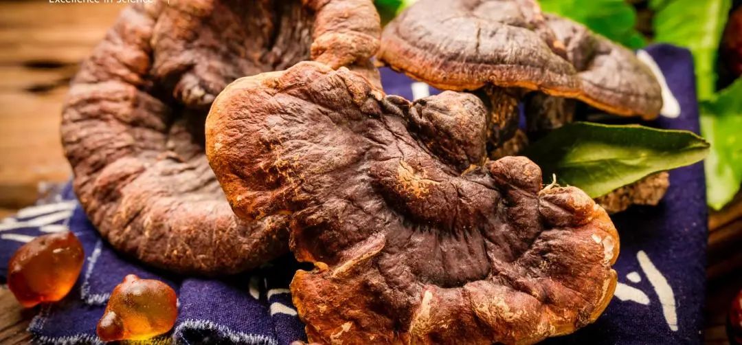 1587431677689816.jpg 21-1.jpg