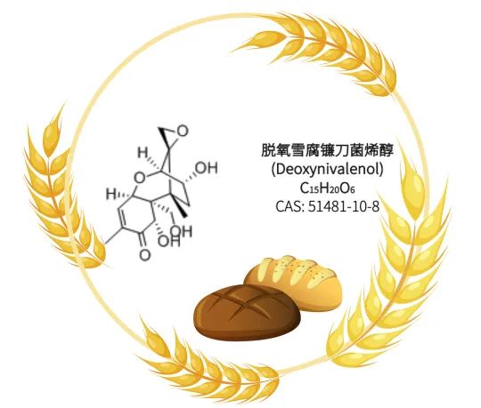 1588039552572333.jpg 28-2.jpg