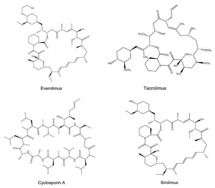 1590113997703314.jpg 22-2.jpg