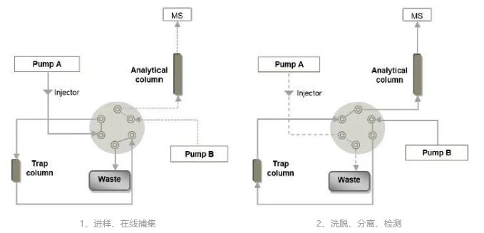 1590114005731746.jpg 22-3.jpg