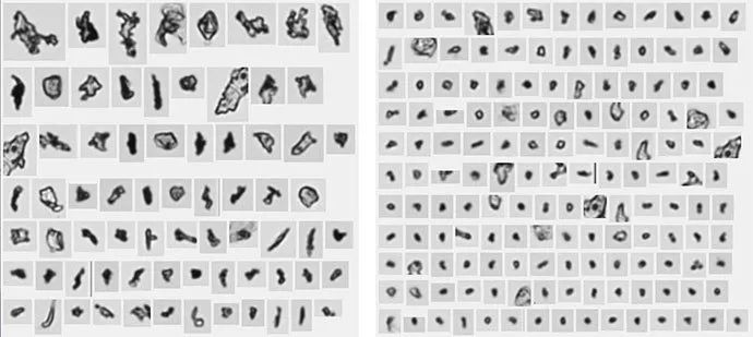 1590371507633454.jpg 0525-4.jpg