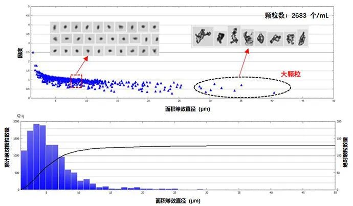 1590371514875715.jpg 0525-5.jpg