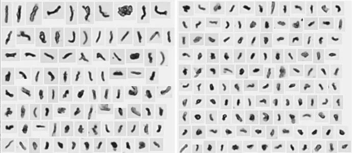 1590371522893753.jpg 0525-6.jpg