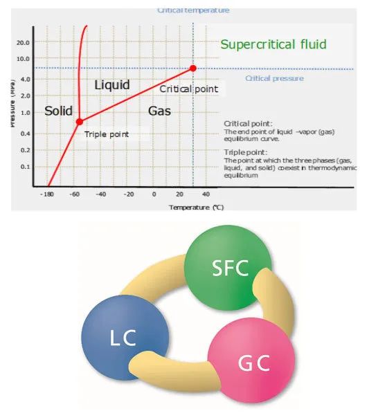 1592184616795030.jpg 0615-3.jpg