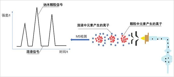 1592358468834925.jpg 0617-3.jpg