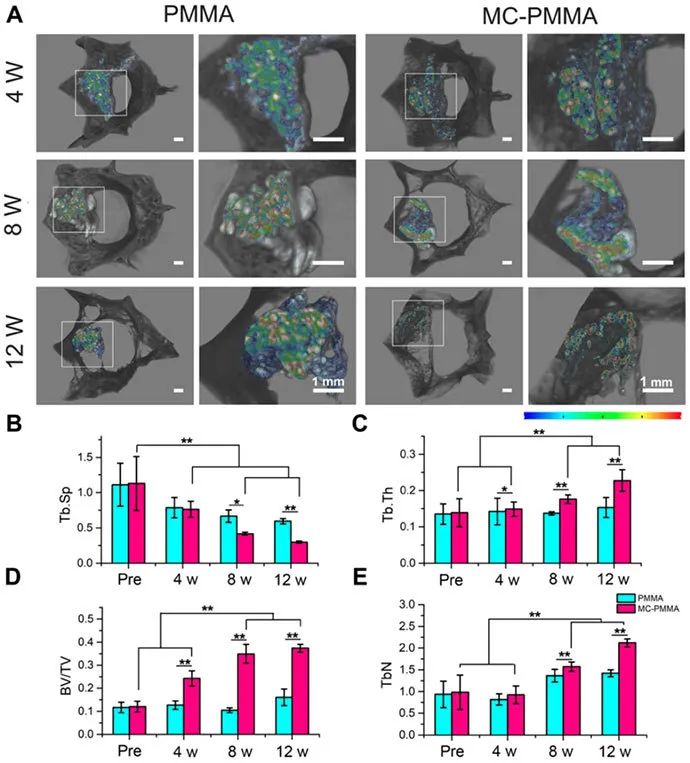 1592961021574818.jpg 24-4.jpg
