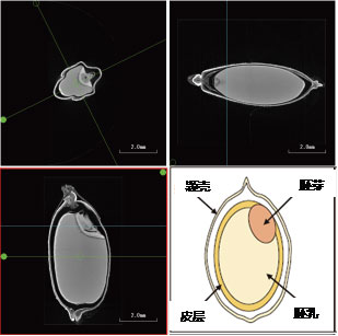 1597717693313557.jpg 0818-2.jpg