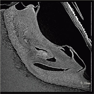 1597717703909844.jpg 0818-4.jpg