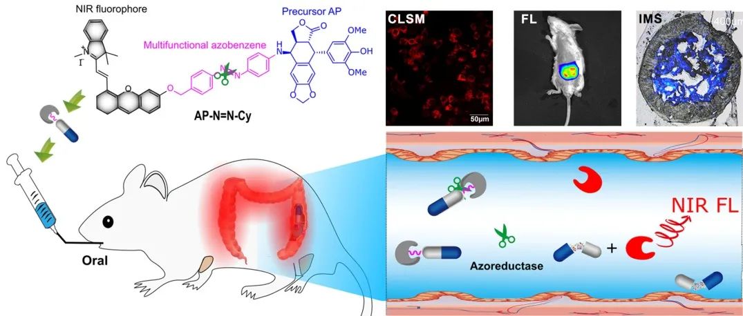 1606704098401006.jpg 2.jpg