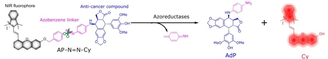 1606704114303303.jpg 3.jpg