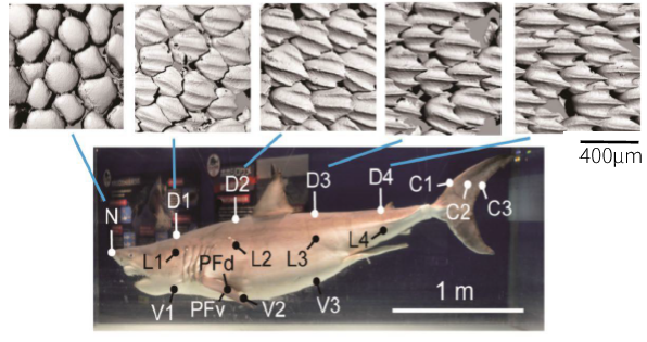 1606785647314392.png 3.png