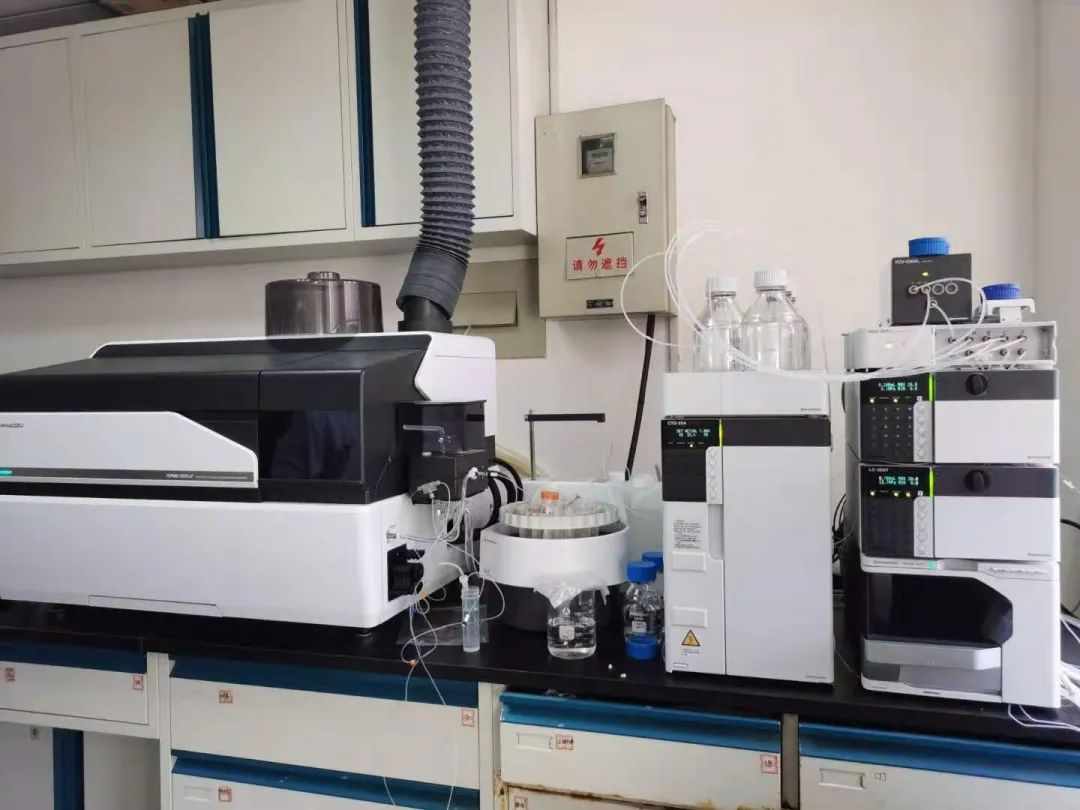 1607046037872695.jpg 3.jpg