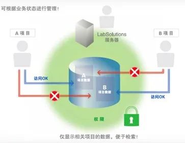 1607303602143079.jpg 3.jpg