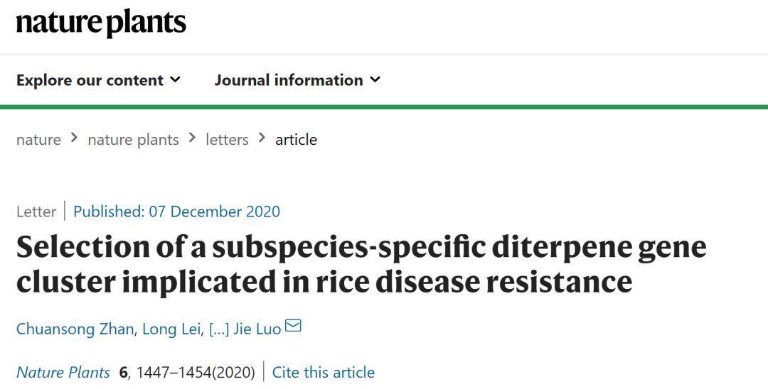 1607512999495306.png 1.png