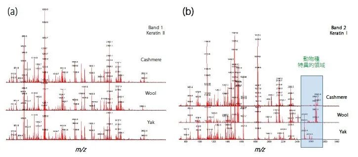 1608255172242894.jpg 4.jpg