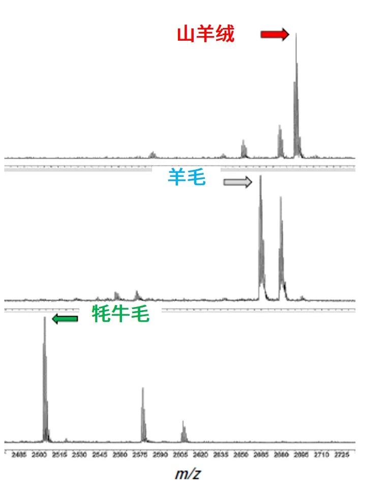 1608255258946480.jpg 6.jpg