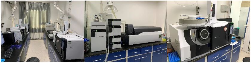 1609807826921058.jpg 3.jpg