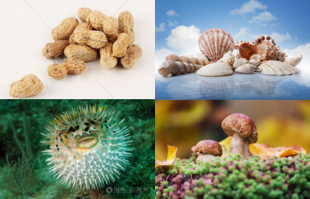 1609896683621675.png 1.png