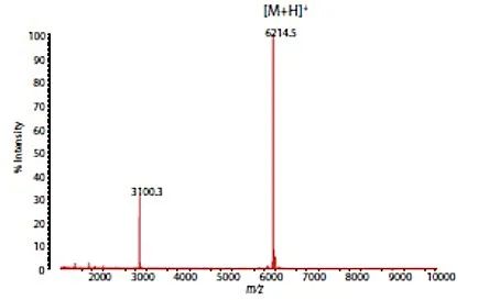 1610677877785861.jpg 4.jpg