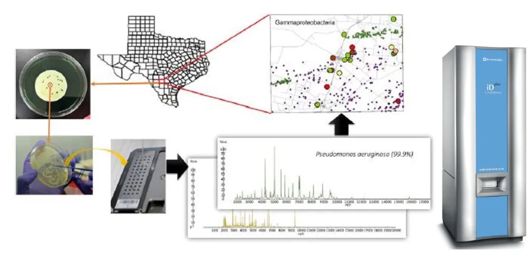 1611282312697653.jpg 1.jpg