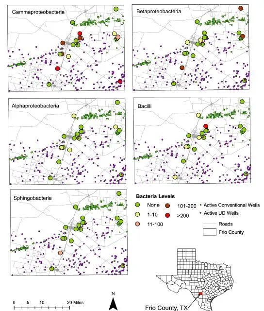 1611282355216199.jpg 2.jpg