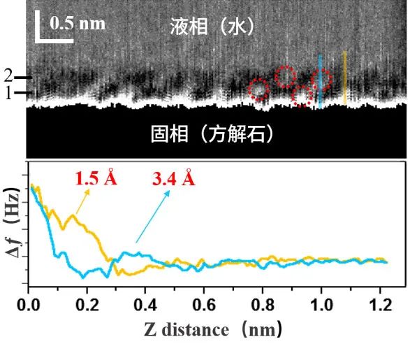 1611624742615060.jpg 5.jpg