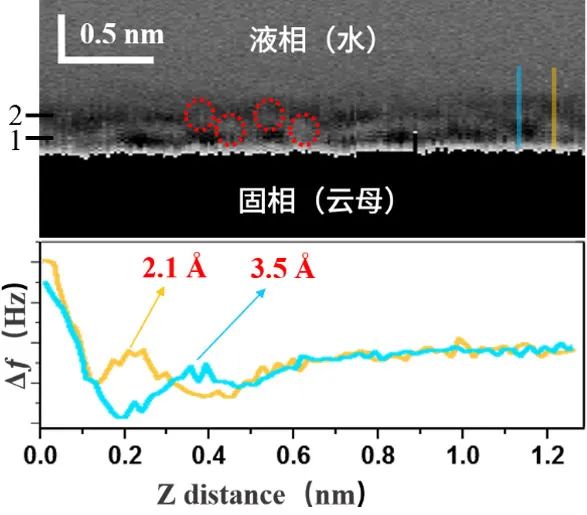 1611624752305053.jpg 6.jpg