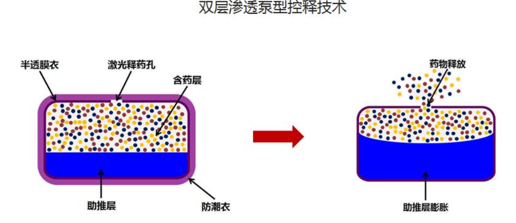 1611625732563960.png 2.png