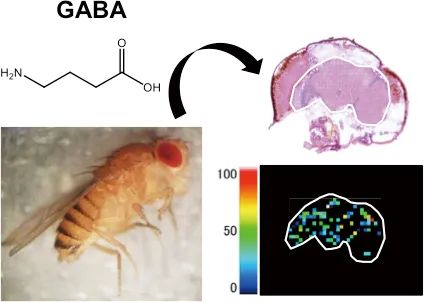 1611711766816899.jpg 2.jpg