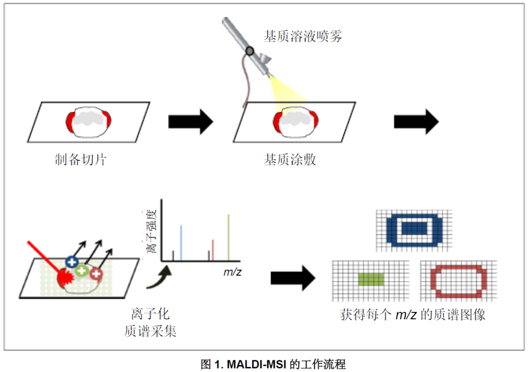 1611711904413003.png 3.png