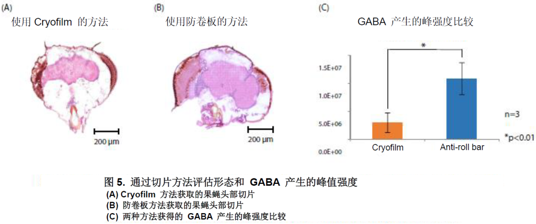 1611712031577379.png 7.png