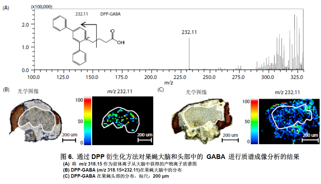 1611712058269338.png 8.png