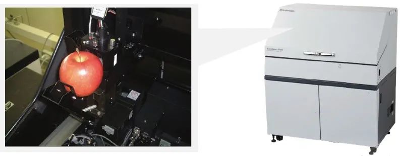 1611798291604089.jpg 3.jpg