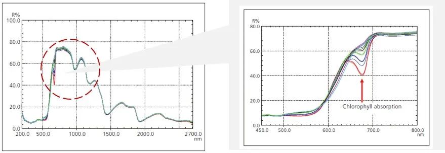 1611798315127232.jpg 4.jpg