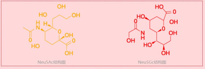 1611805290946368.jpg 7.JPG