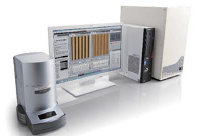 1613961842278584.png 1.png