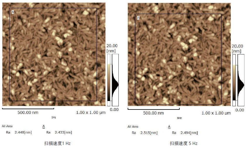 1613961942353136.png 2.png