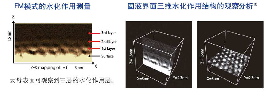 1613962673417076.png 10.png