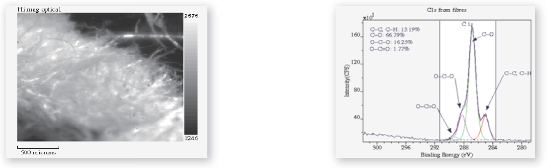 1613962906785470.png 14.png