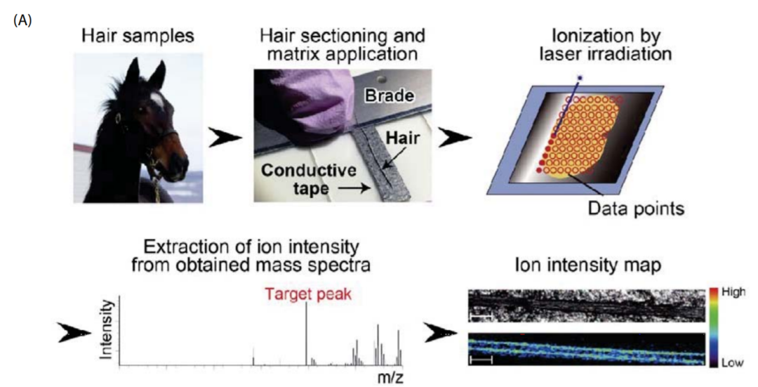 1614130473517461.png 6.png