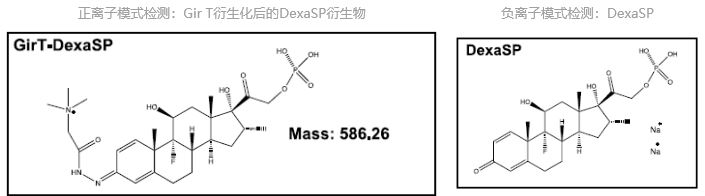 1614130526538663.png 8.png