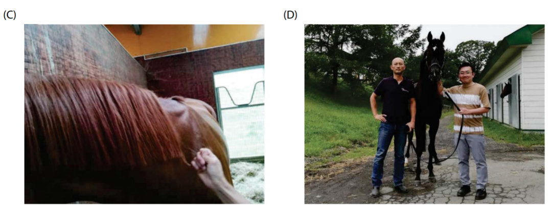 1614130682907749.png 15.png