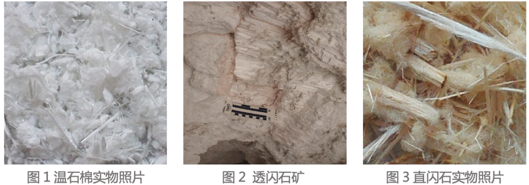 1614301437586413.png 2.png