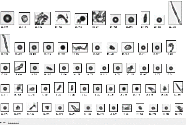 1615533386979292.png 5.png